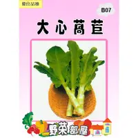 在飛比找蝦皮購物優惠-【萌田種子~蔬菜種子】B07 日本大心萵苣種子3.8公克 ,