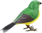 OFFIGAM Funny Bird Interactive Electric Singing Bird Plaything for Home Decor Stimulation for Adults and Sturdy Structure Bright Colors to Enhance Color