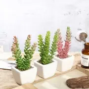 3 Assorted 8" Artificial Faux Sedum Succulent Plants Off White Pots Sale
