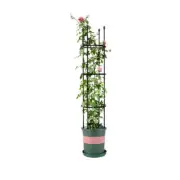 NNEAGS 133cm 4-Bar Plant Frame Stand Trellis Vegetable Flower Herbs Outdoor Vine