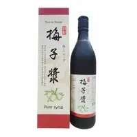 在飛比找樂天市場購物網優惠-【祥記】梅子漿-含梅子果肉(600ml/瓶)