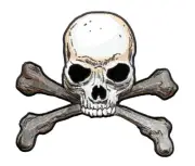 SKULL & CROSSBONES JACKET CLOTHING VEST EMBROIDERED PATCH - 8 3/4" W x 7 3/4" H