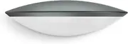 Steinel L 825 SC LED Outdoor Light, Anthracite, 9.7 W Downlight, 160° iHF Motion Sensor, 5 m Range, Bluetooth, Connect, Wall Light