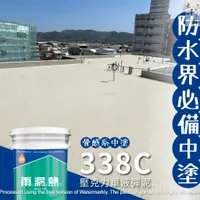 在飛比找蝦皮購物優惠-【雨漏熱】338CS 壓克力單液彈泥 5加侖裝 防水中材 耐