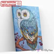 Paint By Numbers Kit Owl Bird Animal Abstract Draw Wall Kids Acrylic Framed Home