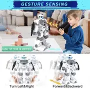 SUBOTECH Intelligent Programmable Remote Control Robot Toy Gesture Sensing Robot