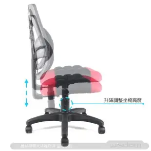 DR. AIR 人體工學氣墊腰靠椅墊透氣辦公網椅-黑