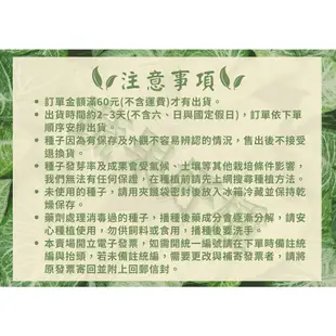 青梗白菜(青江菜)種子15公克(約7500粒) 湯匙菜 青江白菜 清江菜種子