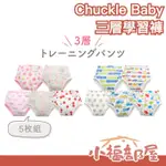 🔥現貨+預購🔥【三層學習褲 5入組】日本原裝 CHUCKLE BABY 幼兒訓練學習褲 兒童學習褲 戒尿布 學習尿布