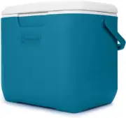 Ice Cooler 30 Quart Portable Chest Box Drinks Food Beer Work BBQ Beach Travel