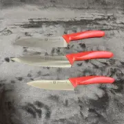 NEW ZWILLING J.A. HENCKELS Set of 3 knives Rare Color
