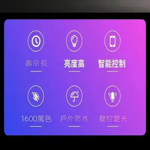 燈帶 led 燈條 冷光 七彩 白光 tiktok同款 LED 聲控 串串燈 APP 幻彩 皮線 串燈 露營