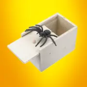 SPIDER SURPRISE JOKE BOX - Magic & Party Tricks