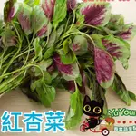 【喵菜園】 紅莧菜  紅杏菜  (300G ±10%)  冷藏寄件