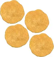 Gatuida 4pcs Egypt Nummulites Model Decor Specimen for Boys and Girls Educational Paleontology Teaching Tool