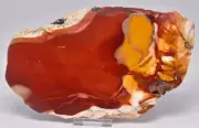 MOOKAITE Polished Slice, FOSSIL RADIOLARIAN Western Australia S955