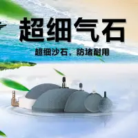 在飛比找蝦皮購物優惠-老漁匠魚缸細砂氣石水族氧氣泵用球形氣泡石增氧泵氣盤沙頭老魚匠