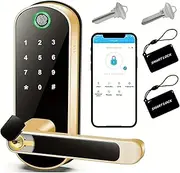 Smart Fingerprint Door Lock App Remote Control Keyless Digital Touchscreen Lock IP67 Waterproof with 2 Cards(Gold)