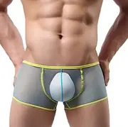 [COMVIP] Men's Mesh Low Rise Trunks Underpants Transparent Boxers Light Blue M