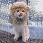 Cute Lion Mane Cat Wig Pet Small Dog Cats Costume Lion Mane For Cat F1C6 L1O4