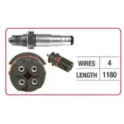 RAE Oxygen Sensor - OX681