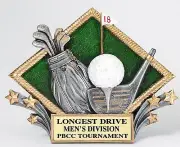 GOLF TROPHY RESIN PLAQUE OR STANDS ALONE FOR TROPHY FREE LETTERING M~RDP11 *