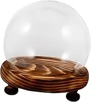 Anneome Flower Glass Dome Display Cloche with Wooden Base Transparent Glass Case for Preserved Flowers Decorations for Living Room and Office Decor
