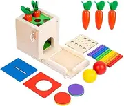 Wooden Play Kit Montessori Toy Including Carrot Harvest Coin Box Matchstick and Ball Drop Game Develop Fine Motor Skills Toddler Early Learning Educational Wooden Play Toy for Kids