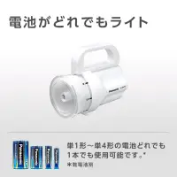 在飛比找蝦皮購物優惠-帥哥水族【Panasonic 國際牌】BF-BM10 LED