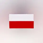 Poland Flag Patch — Iron On Badge Embroidered Motif — Polish World Europe