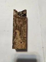 Stabilized Spalted Maple #103