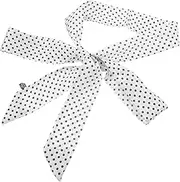[CATIEBYE] Silk Scarf Long Thin Lady Scarf Stylish Women's Accessory Multiple Uses