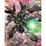 萬代 MG GAT-X105E STRIKE NOIR GUNDAM 漆黑強襲 高達 拼裝 模型 RXRV