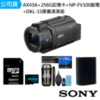 在飛比找momo購物網優惠-【SONY 索尼】FDR-AX43A +256G記憶卡+NP