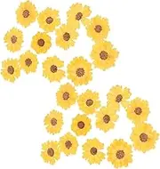 SHINEOFI DIY Craft Kit 24 Pcs Dried Pressed Flowers Chrysanthemum for Decorations