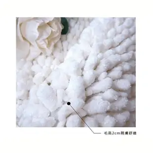 【山德力】吸水防滑長毛地毯-雪狐140x200cm(地毯 加寬 長毛 毛毯 溫暖 生活美學)