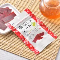 在飛比找蝦皮購物優惠-| 現貨 | 日本 i factory 板梅 梅干片 梅片 
