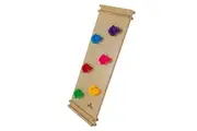 Rock Climbing Frame and Slide