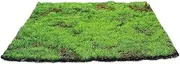 Alipis Artificial Mat, Fake Grass Rug Turf Plants Lichen Faux Table Runner Sheet Artificial Tabletop Decoration for Home Garden Patio Terrarium 30CM