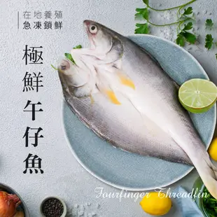 【巧食家】台灣午仔魚 201g-250g 三去處理 真空包裝