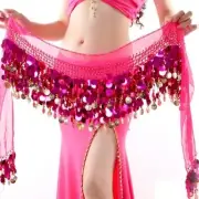 Belly Dance Hip Skirt Scarf Wrap Belt Glitter Sequins Tassel Hip Scarf Skirt