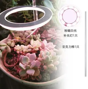 植物燈 多肉燈 光譜燈 植物光譜燈 全led燈 仿太陽燈 上色 室內 家用 燈管 usb 食蟲 多肉 補光燈