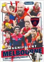 Melbourne demons players premiers TEAM Photo,AFL football,Geelong cats,book