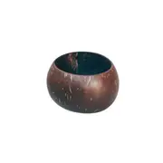 Coconut Bowls Coconut Cup
