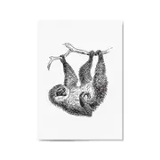 Sloth Drawing Animal Minimal Wall Art