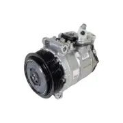 A/C Compressor for Mercedes Benz S-Class W220 Model-7Seu17C Pulley Dia 110MM 6PK