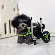4-Wheel Dog Wheelchair for Back Legs Equipment for Dogs with Paralysis Pet Mobility Cart Lightweight Aluminum Dog Hip Support Wheel Chair for Small Medium Dogs(Large)