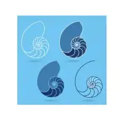 Ocean-Inspired Face Towel, Nautilus Shell Design, Spa Gift, Bath Essentials,
