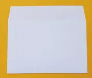 1000 floppy disk sleeves for 5.25 diskettes. Plain white sleeves 5.5" by 4.75"