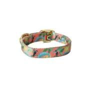 Anipal Clancy The Black Cockatoo Eco-Friendly Dog Collar Small